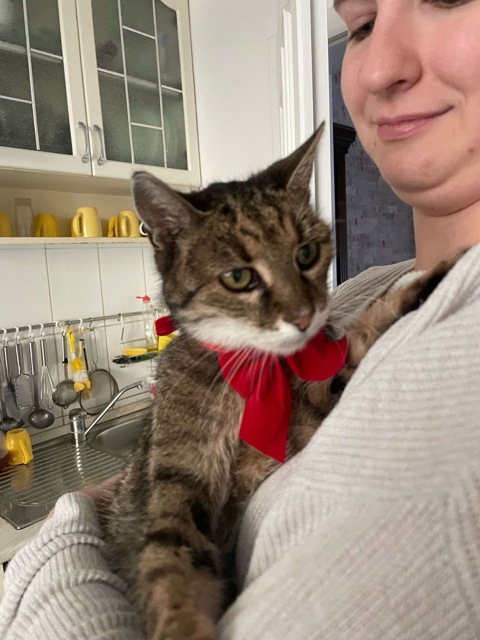 Imagine suplimentară